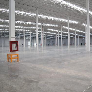 Celaya_Img02